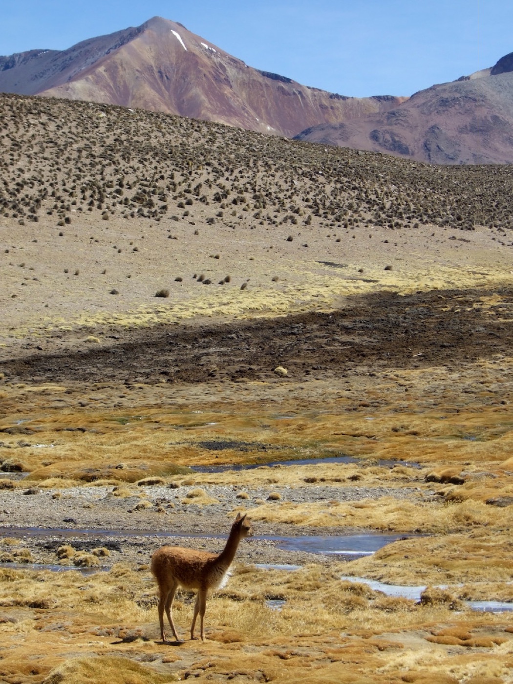 Chile